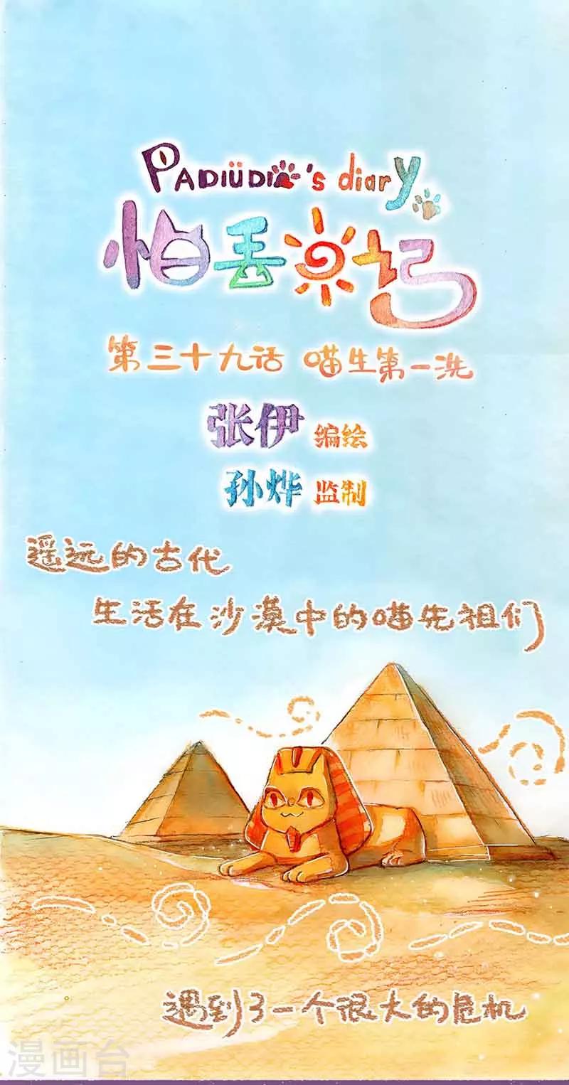 第39话 喵生第一洗-第39话