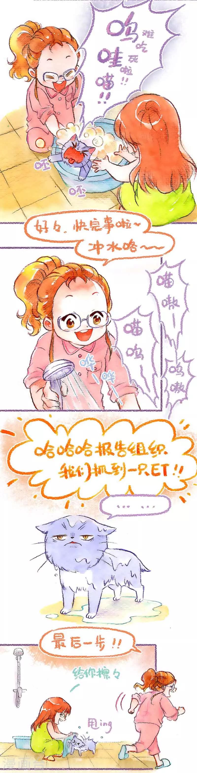 第39话 喵生第一洗-第39话