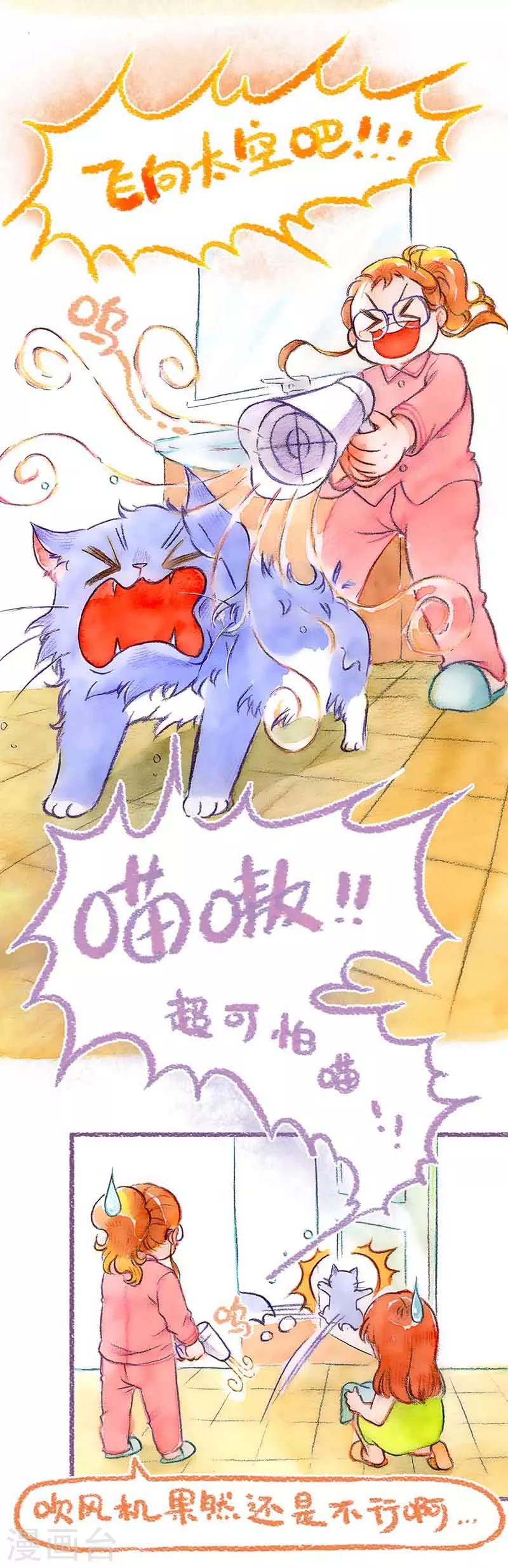 第39话 喵生第一洗-第39话