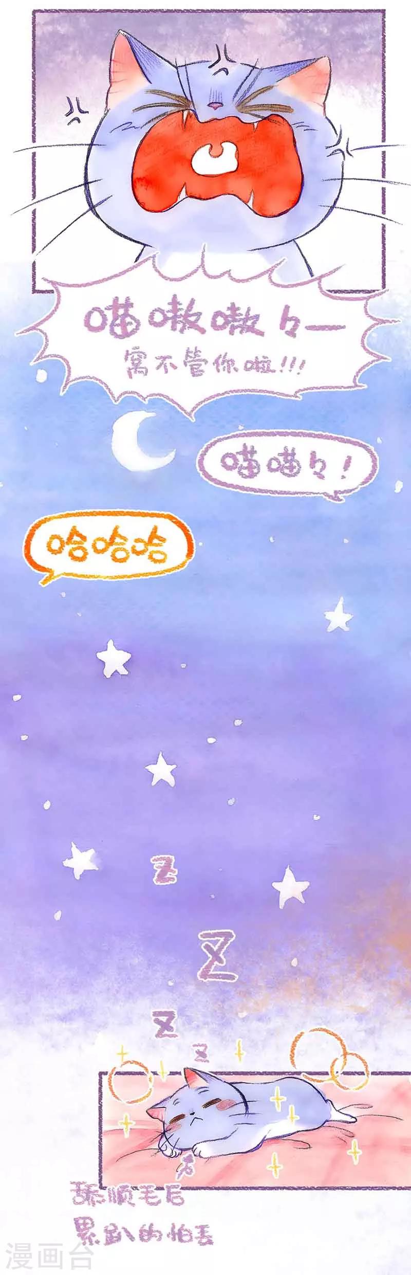 第39话 喵生第一洗-第39话