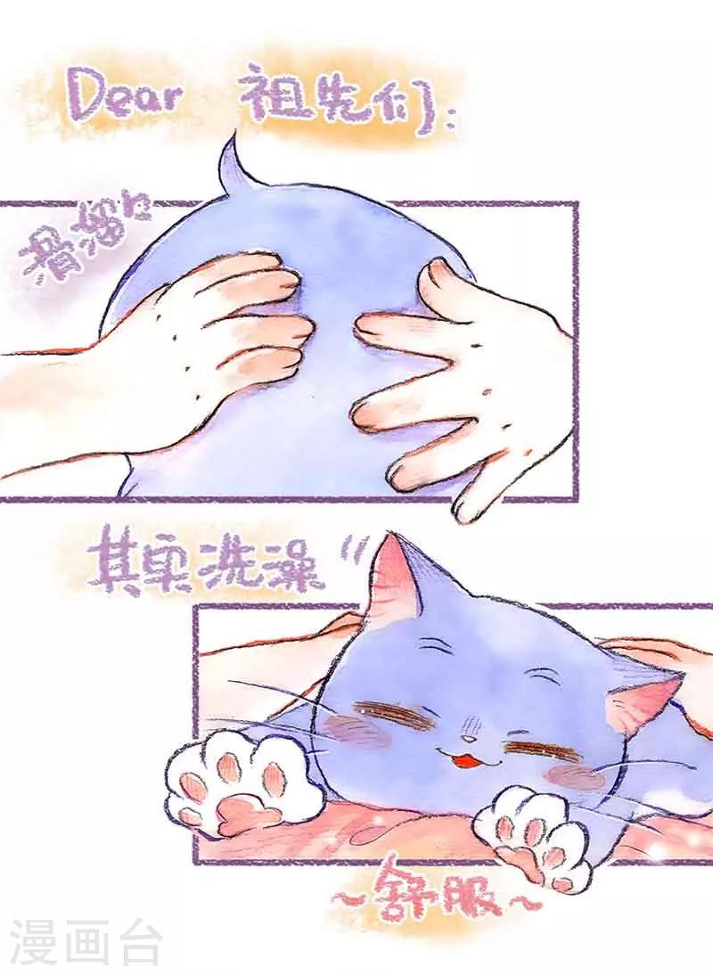 第39话 喵生第一洗-第39话
