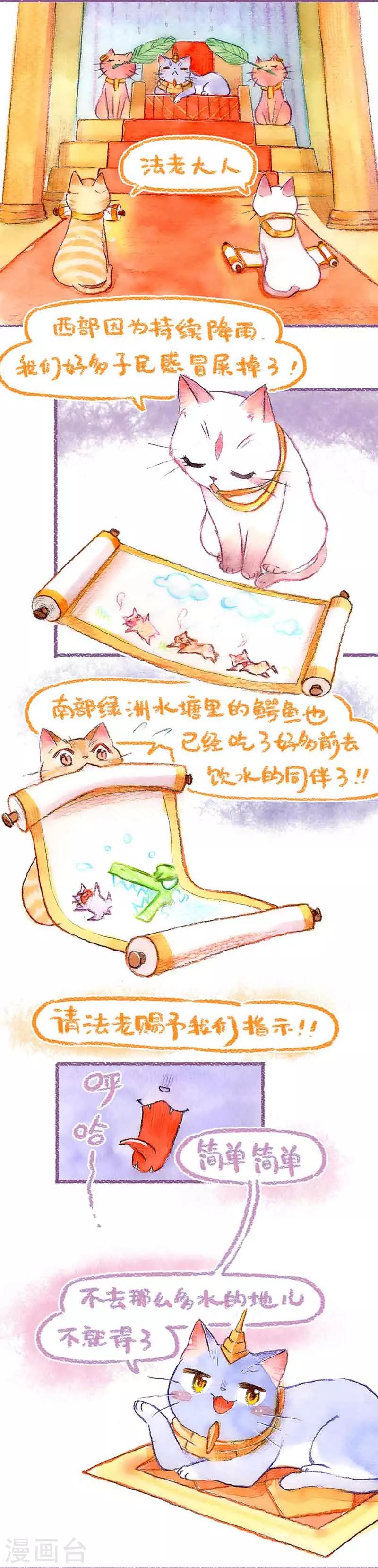 第39话 喵生第一洗-第39话