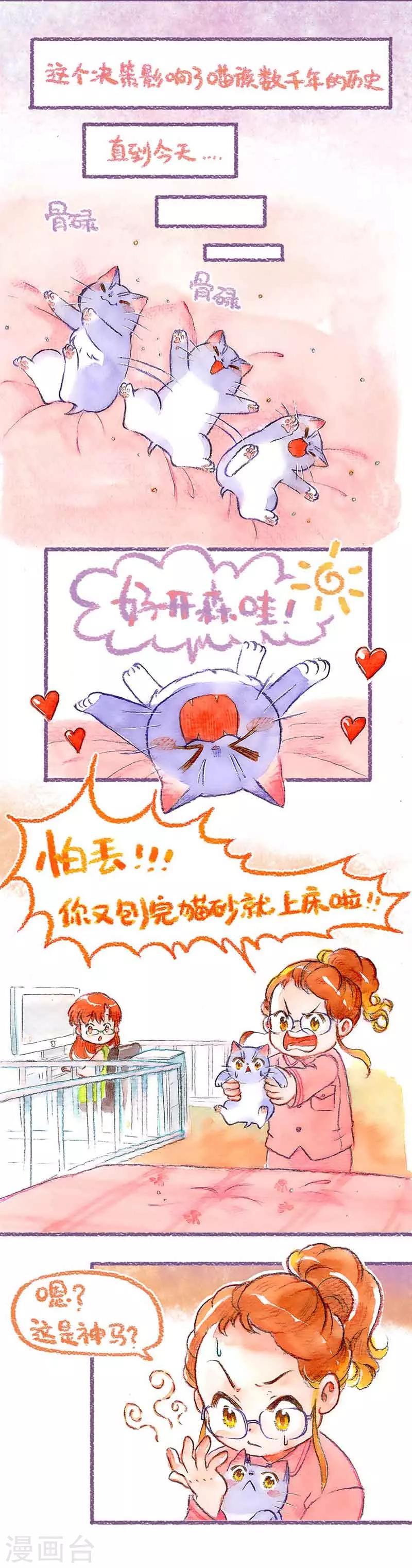 第39话 喵生第一洗-第39话