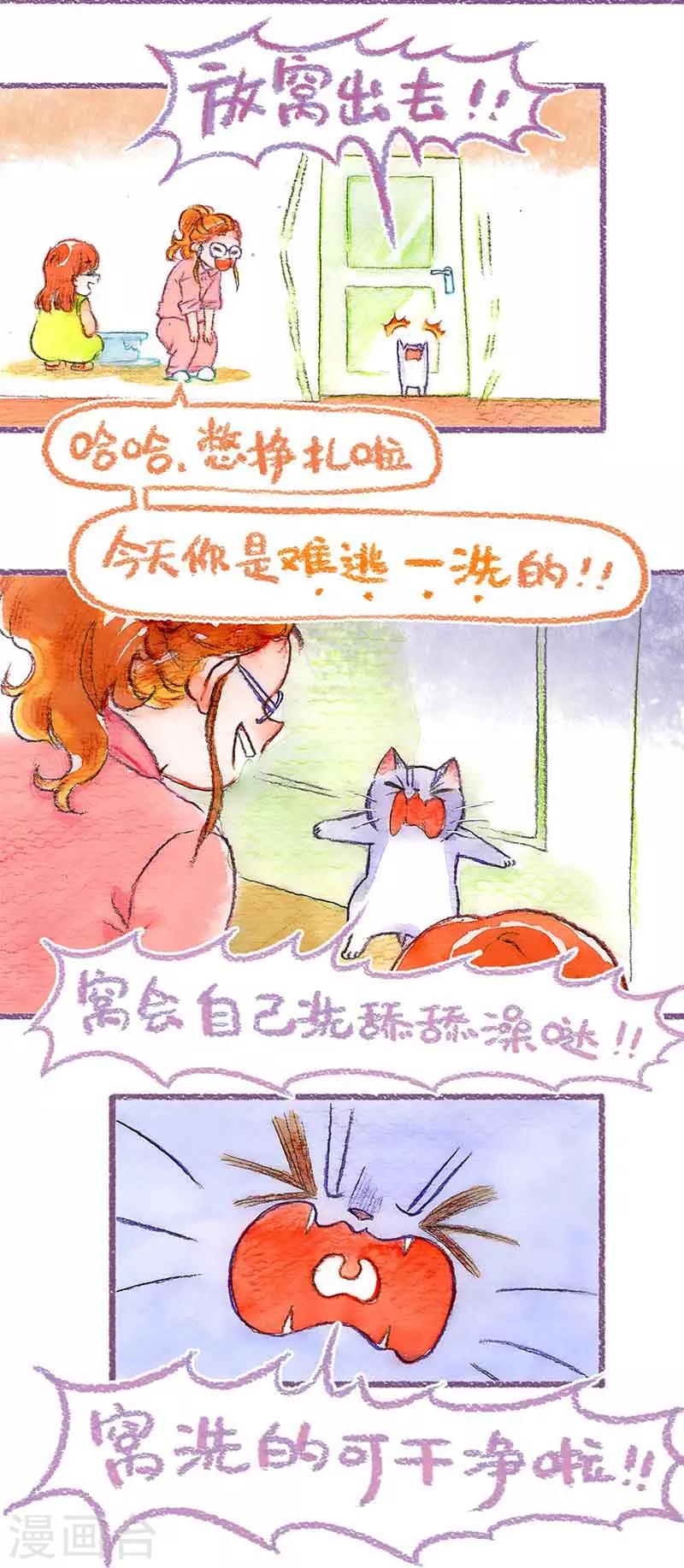 第39话 喵生第一洗-第39话