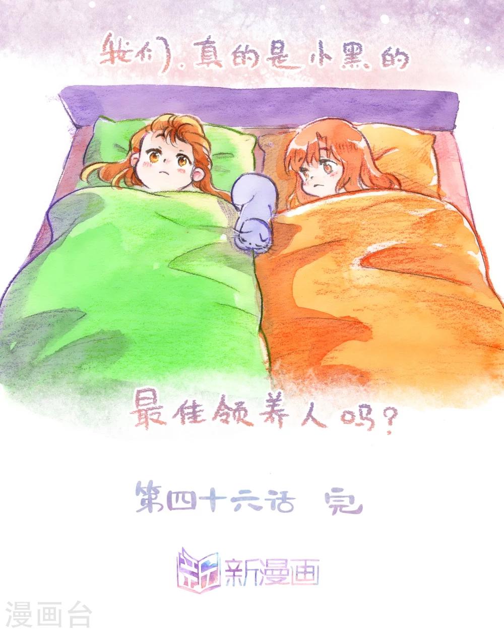 第46话 最佳领养人-第47话