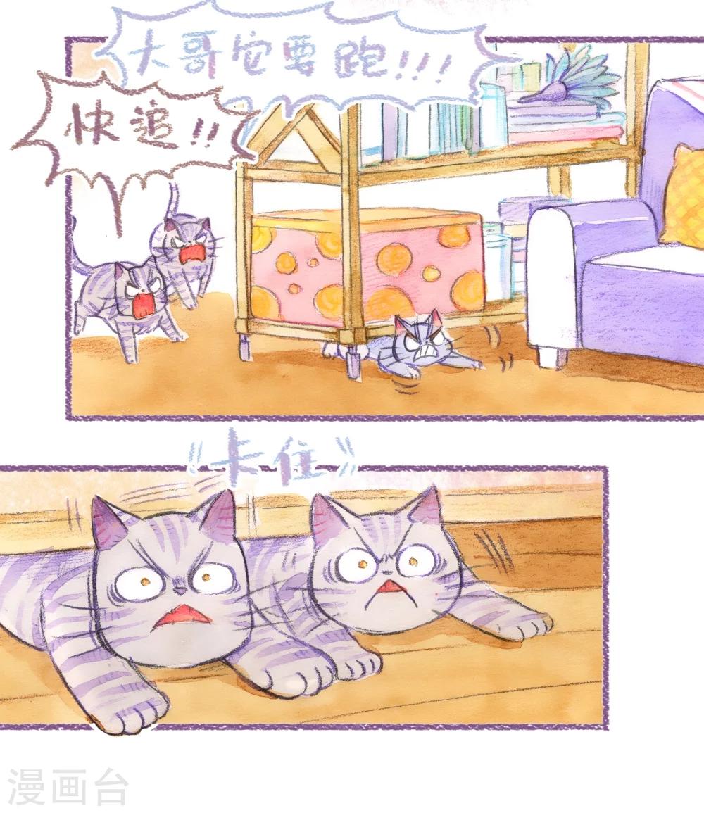 第50话 就不粗去-第51话