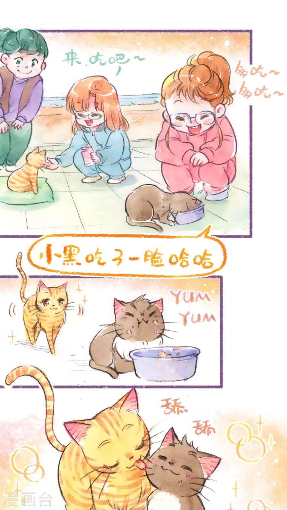 第53话  找小猫(下)-第55话