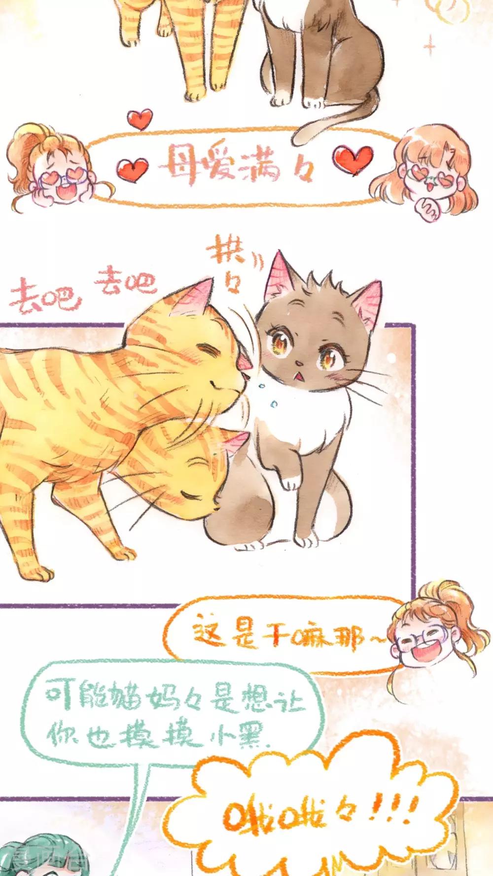 第53话  找小猫(下)-第55话