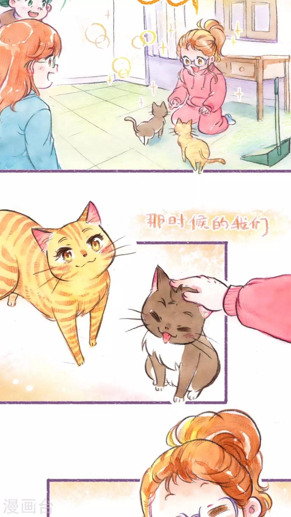 第53话  找小猫(下)-第55话