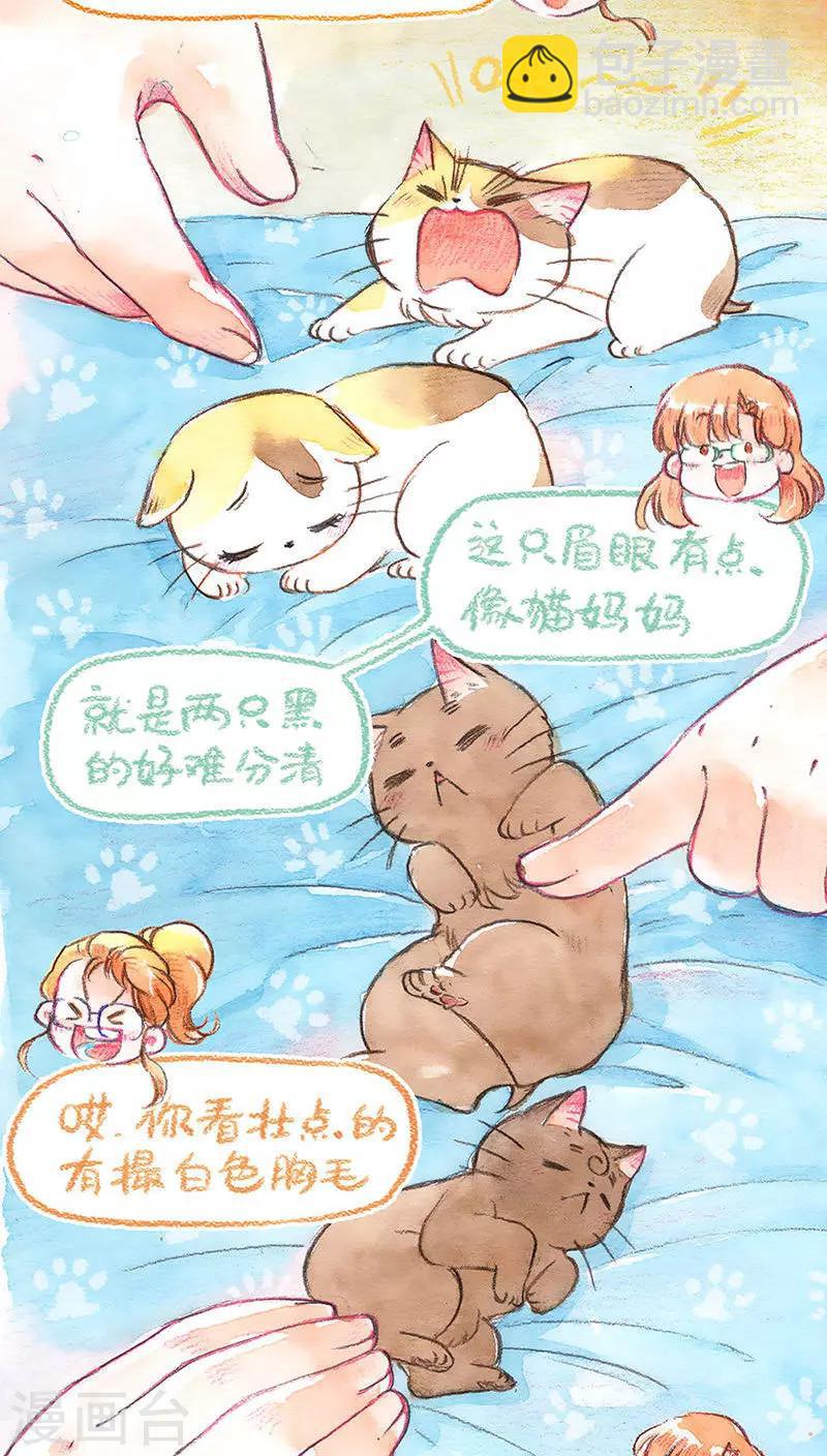 第67话 重拾的信心-第71话