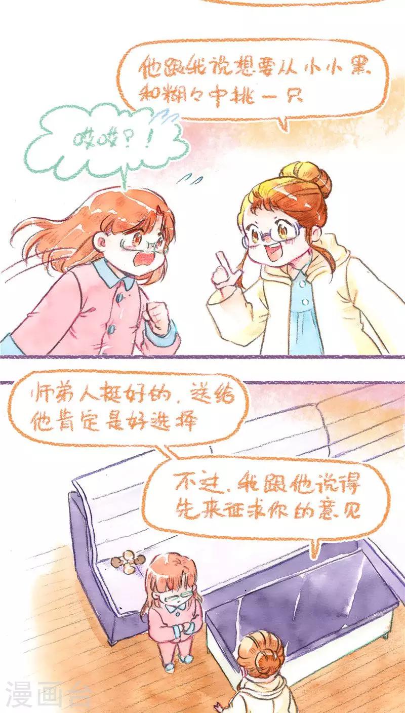 第72话 领养预热-第77话