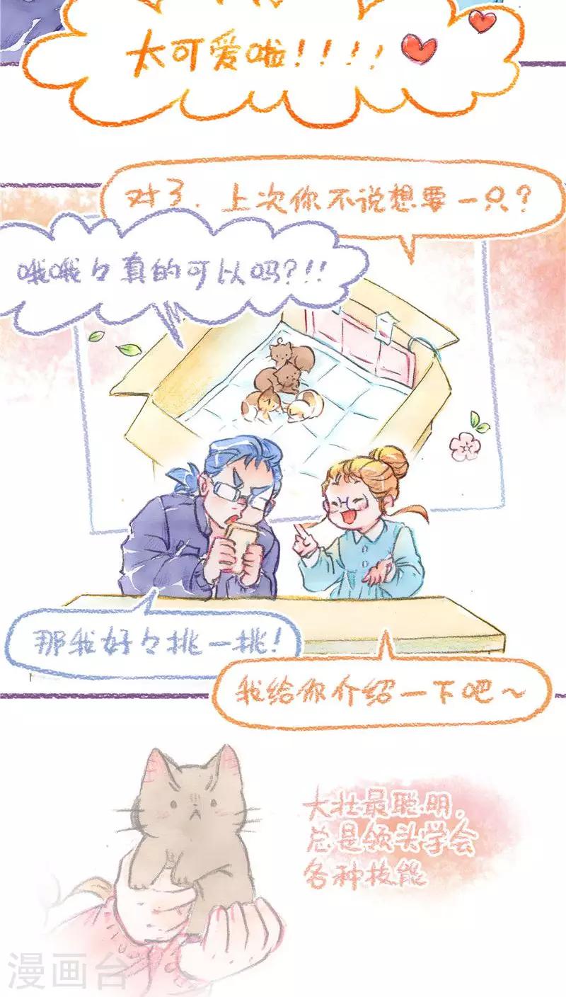 第72话 领养预热-第77话