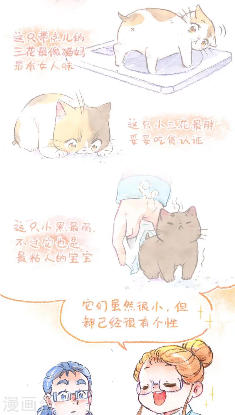 第72话 领养预热-第77话