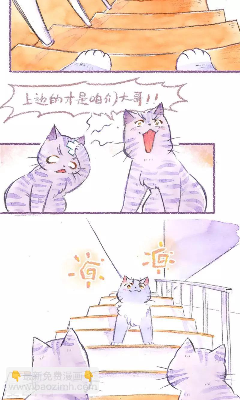 第78话 自力更生-第85话