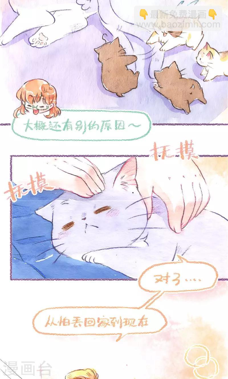 第83话 夺还大作战-第91话