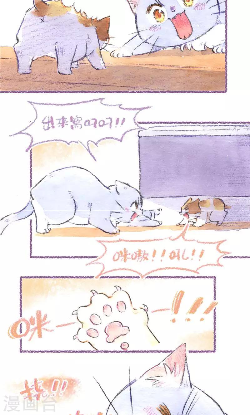 第87话 叼着走-第95话