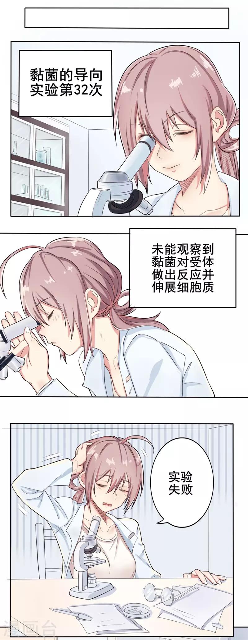 第37话 截然不同的爱情1-第37话