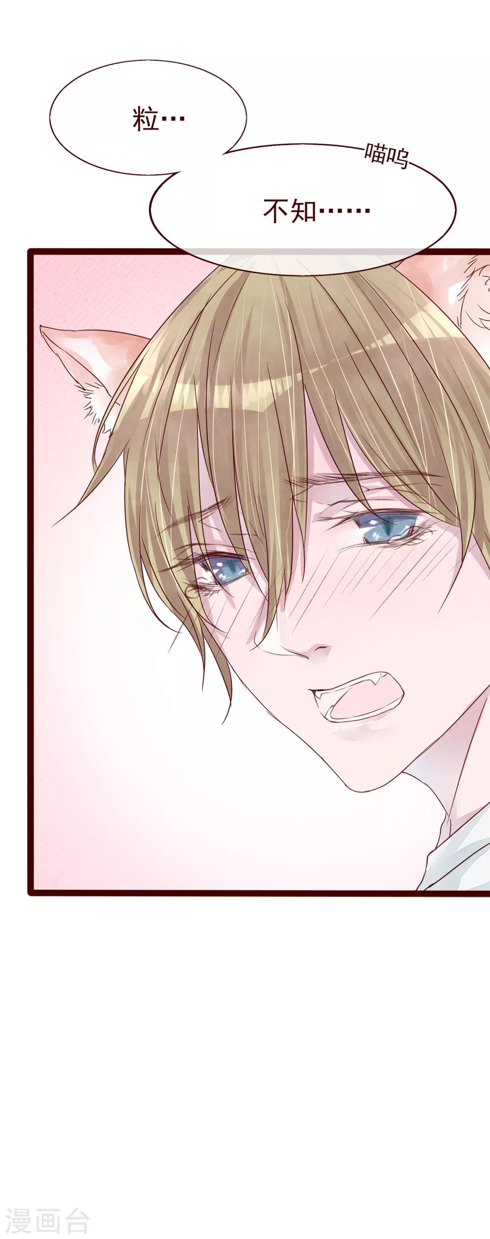 第77话 猫之男子3(1/3)-第77话