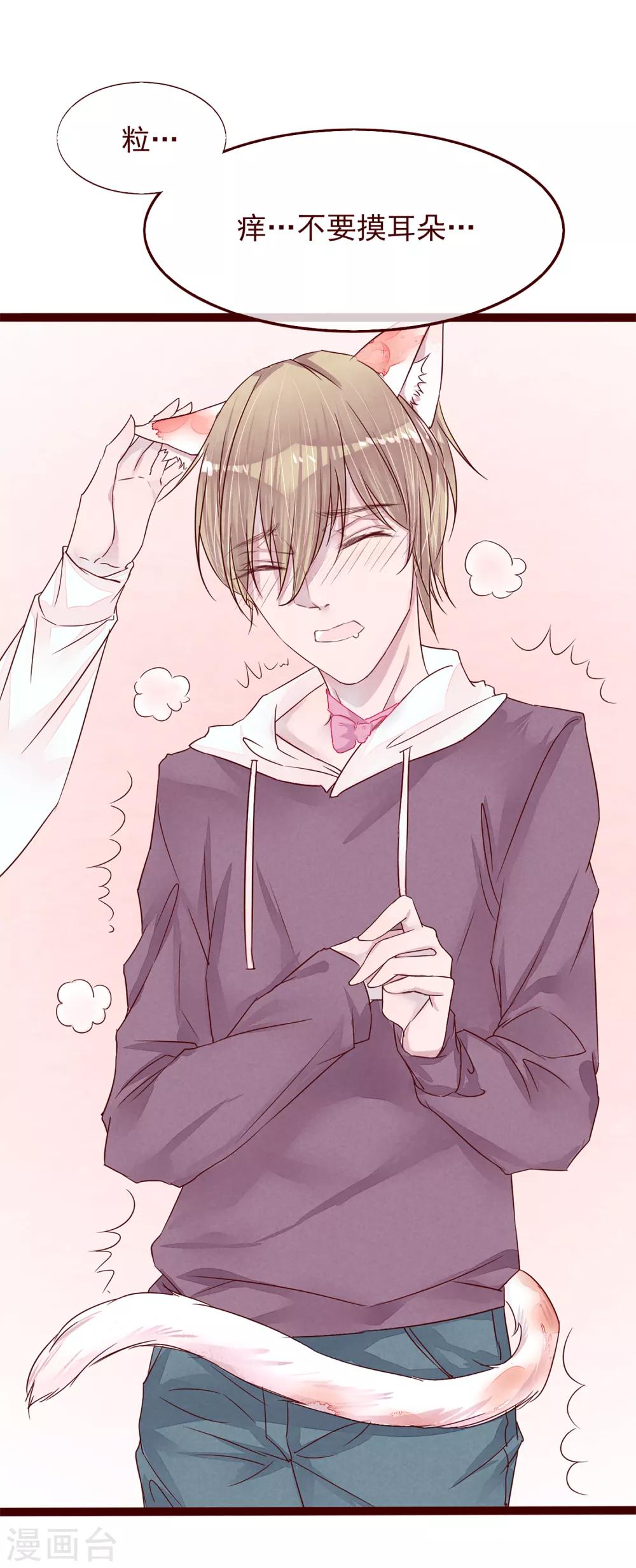 第77话 猫之男子3(1/3)-第77话