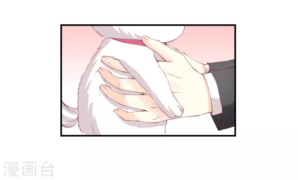 第9话 宠物恋人1(1/2)-第9话