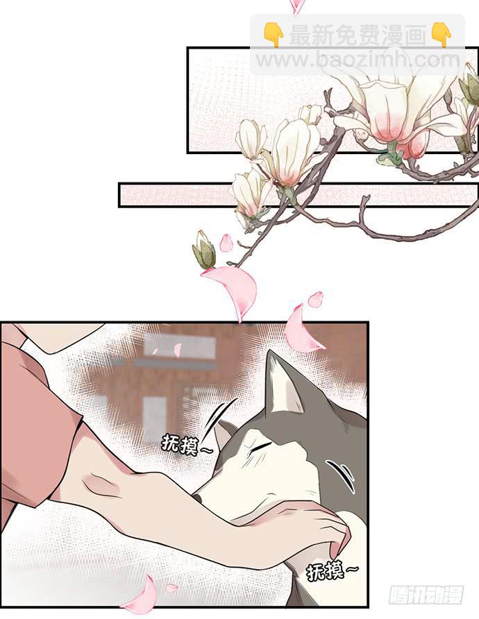 金光闪闪巧克力-第27话