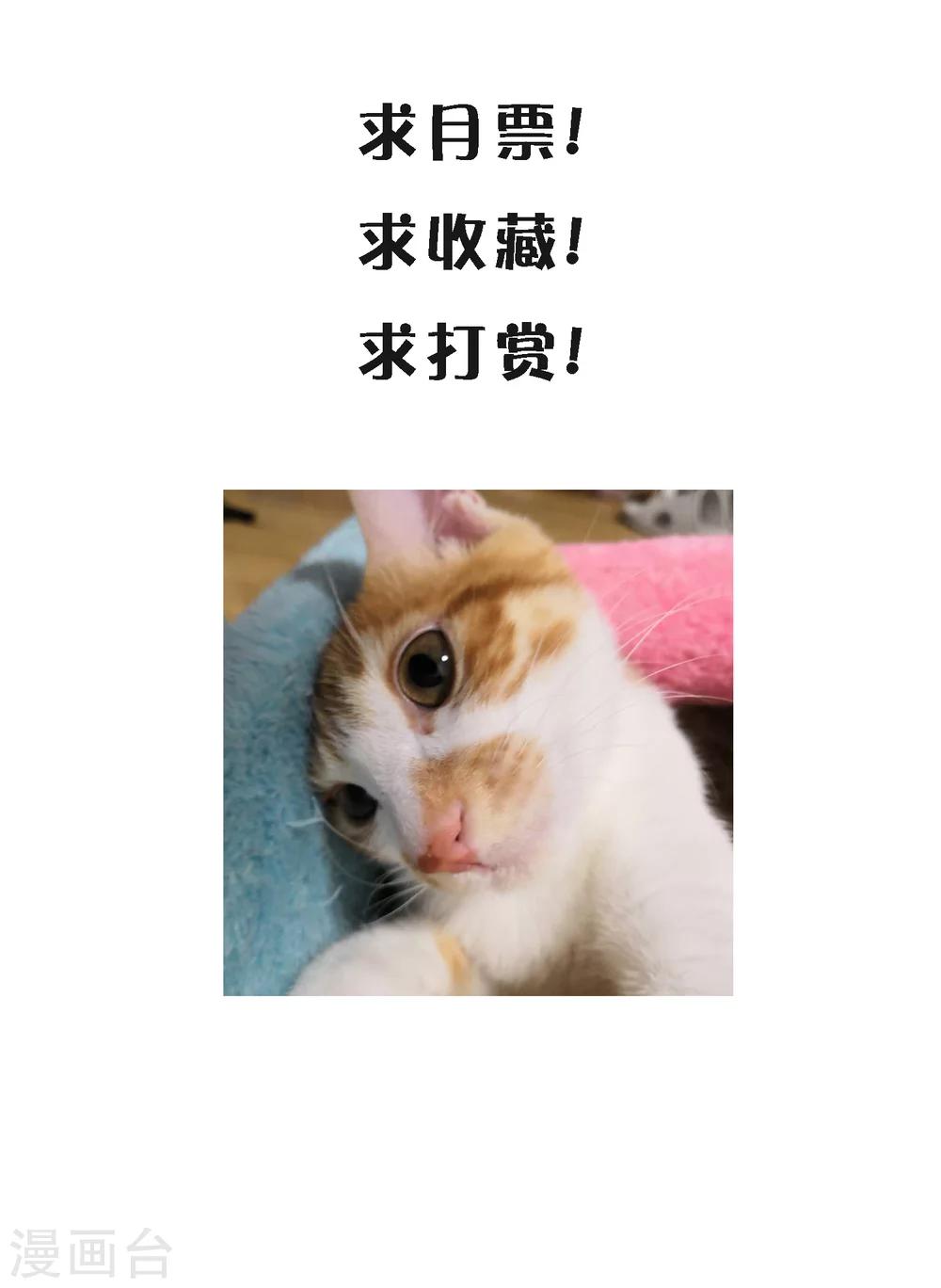 第25话2 可笑的弱点-第29话