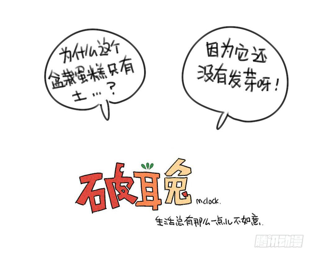 29、破耳，不按套路出牌的兔子-第29话