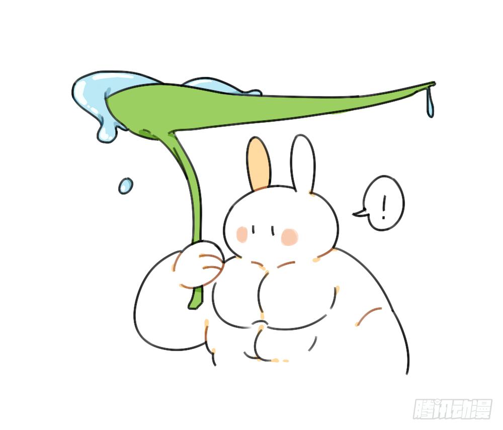 39、雨天不怕，我有花花，花花高-第39话