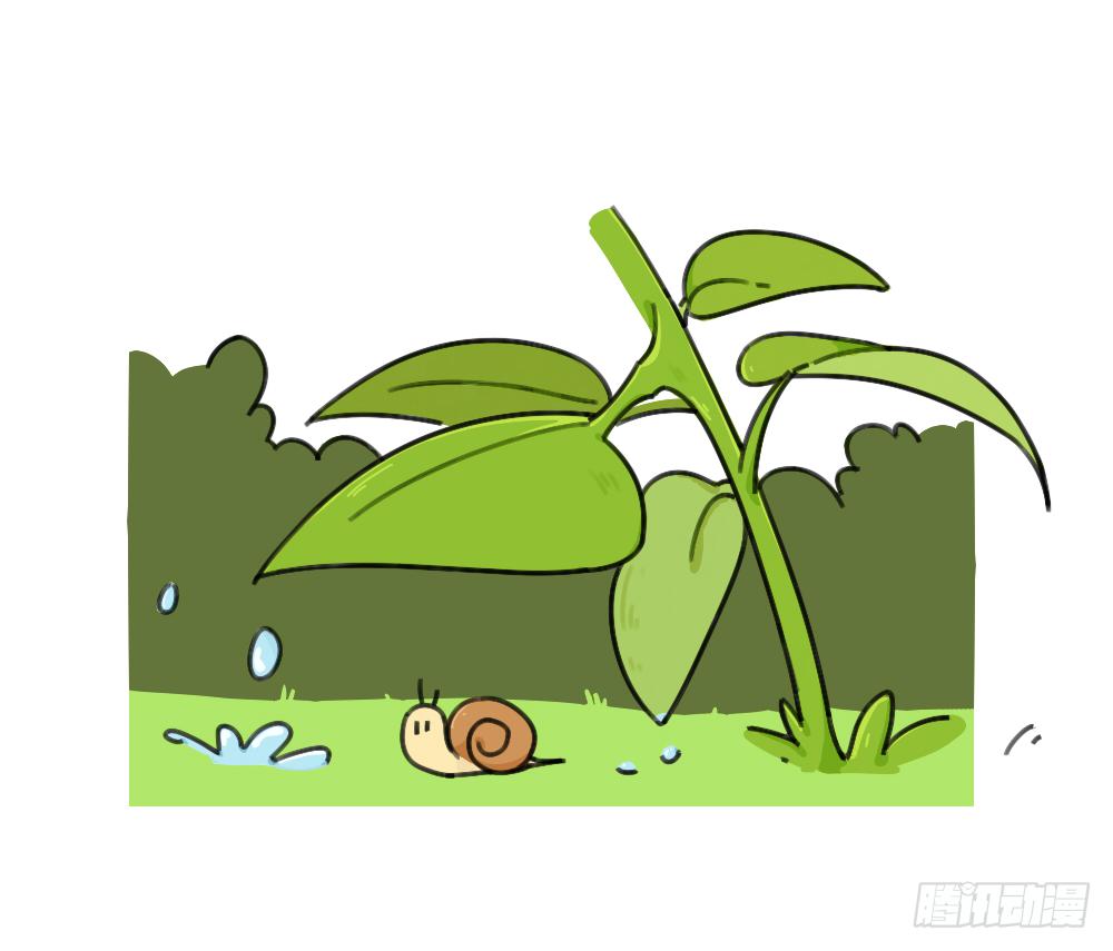 39、雨天不怕，我有花花，花花高-第39话