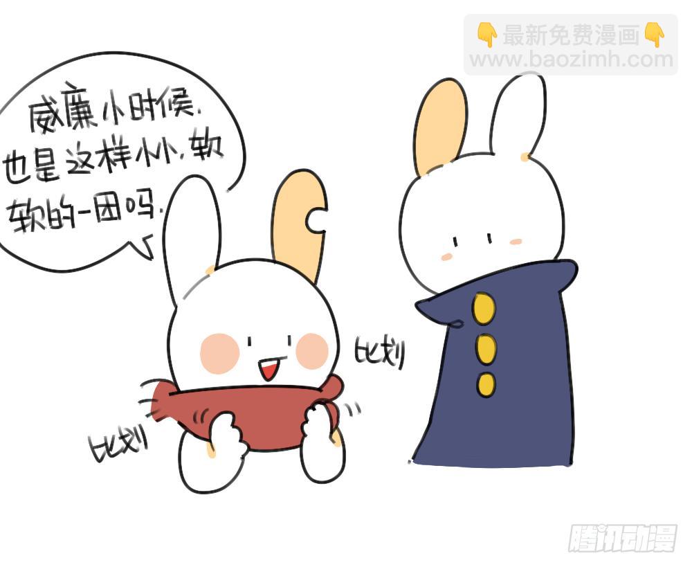 45、比小兔子更可爱的，是小小兔-第45话