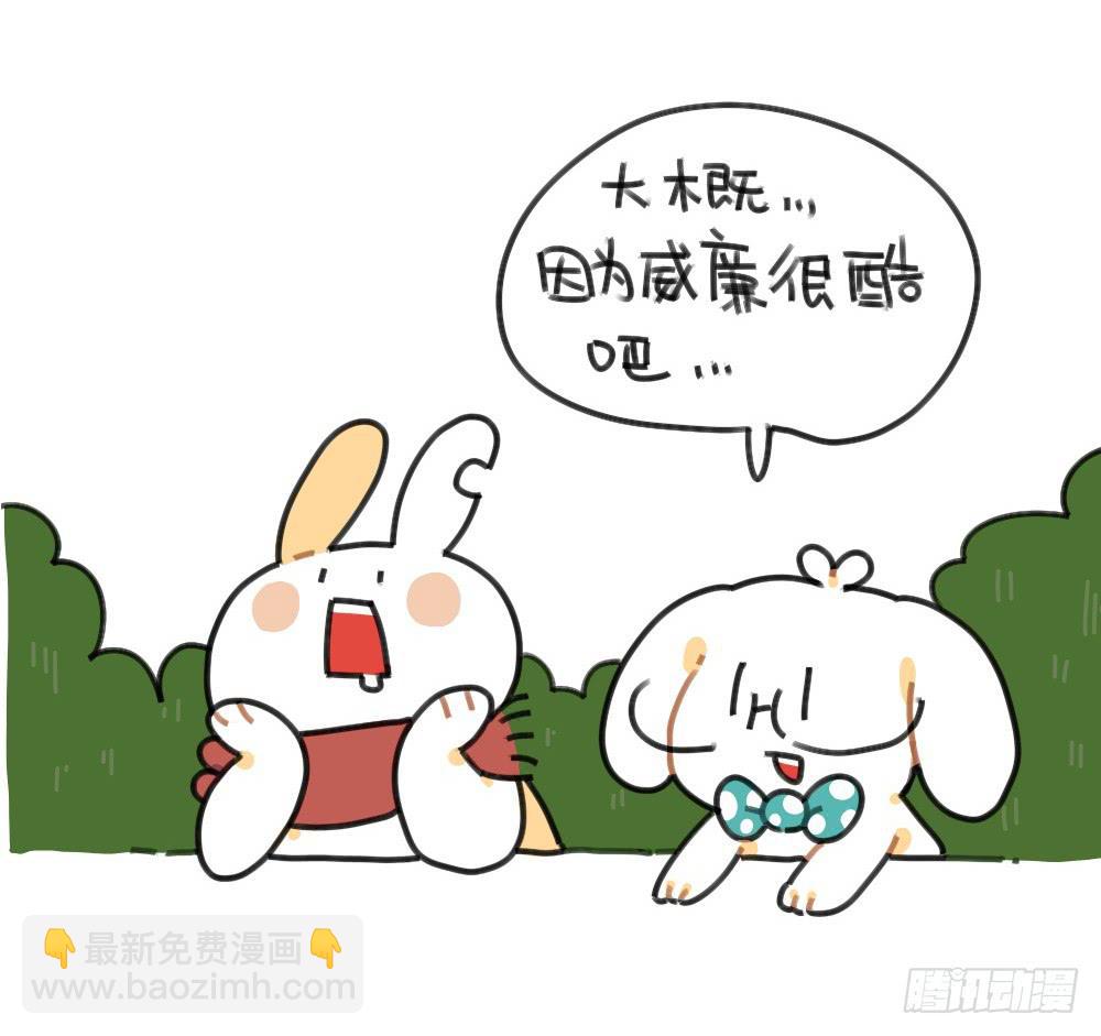 49、破耳兔想变得很酷[酷]！-第49话