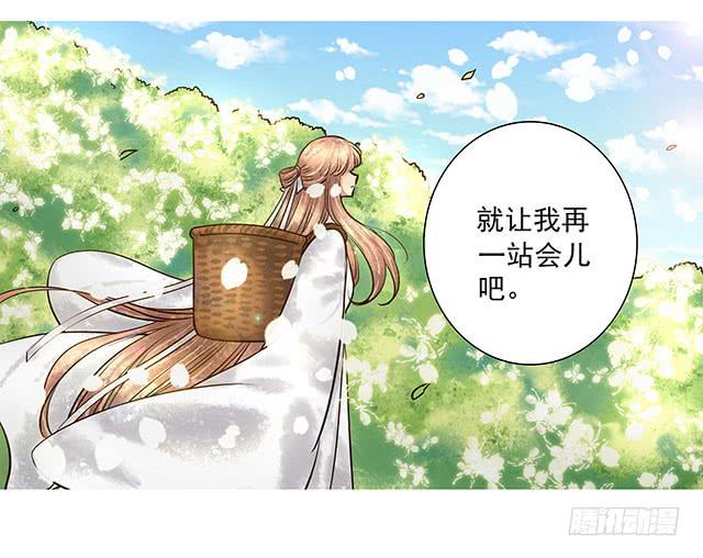 梨花树下再遇-第15话