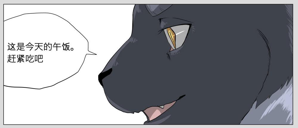 011猫和他的猫part3-第11话