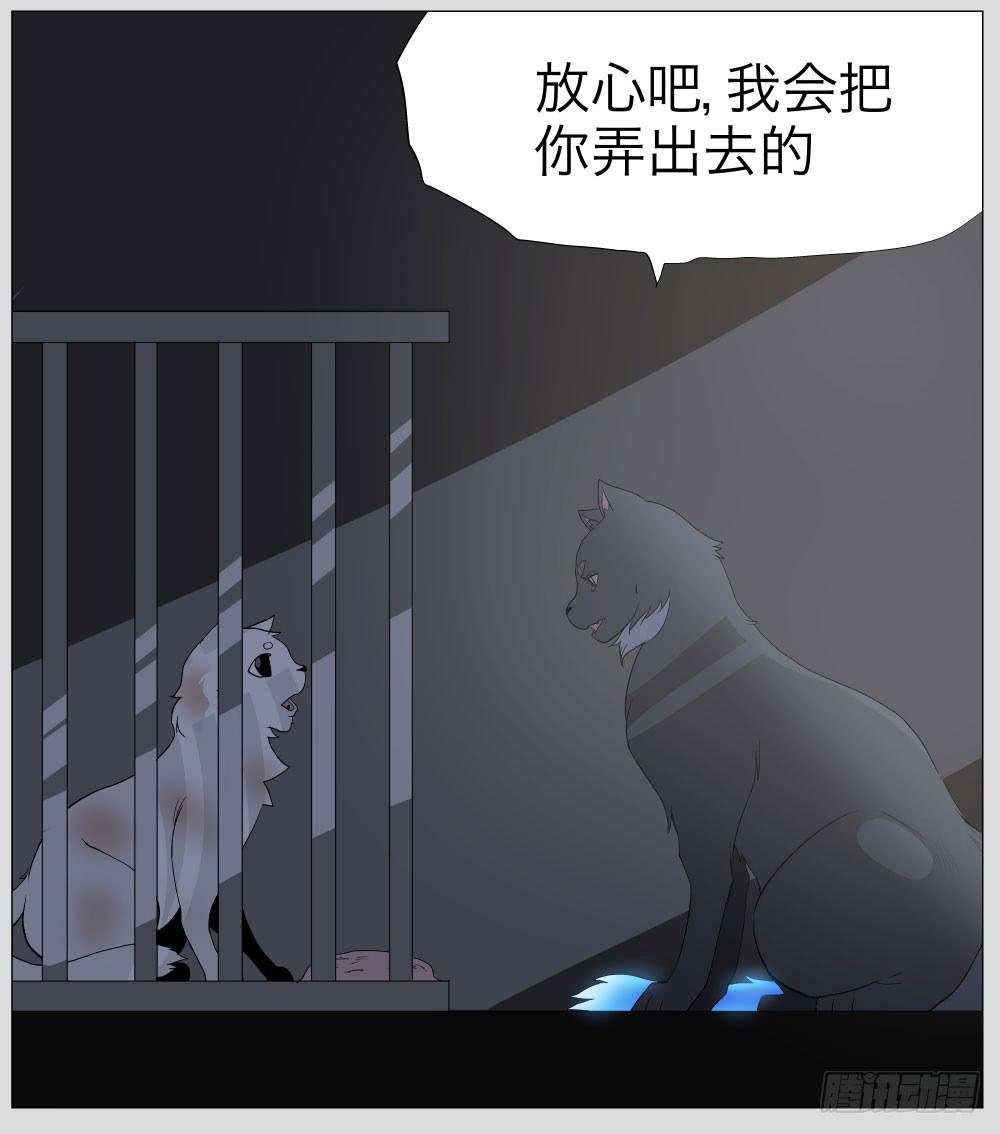 011猫和他的猫part3-第11话