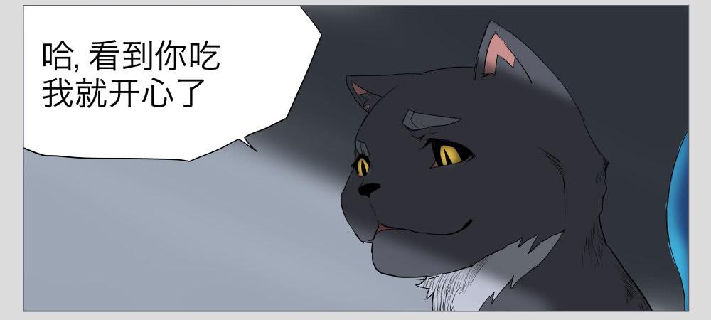 011猫和他的猫part3-第11话