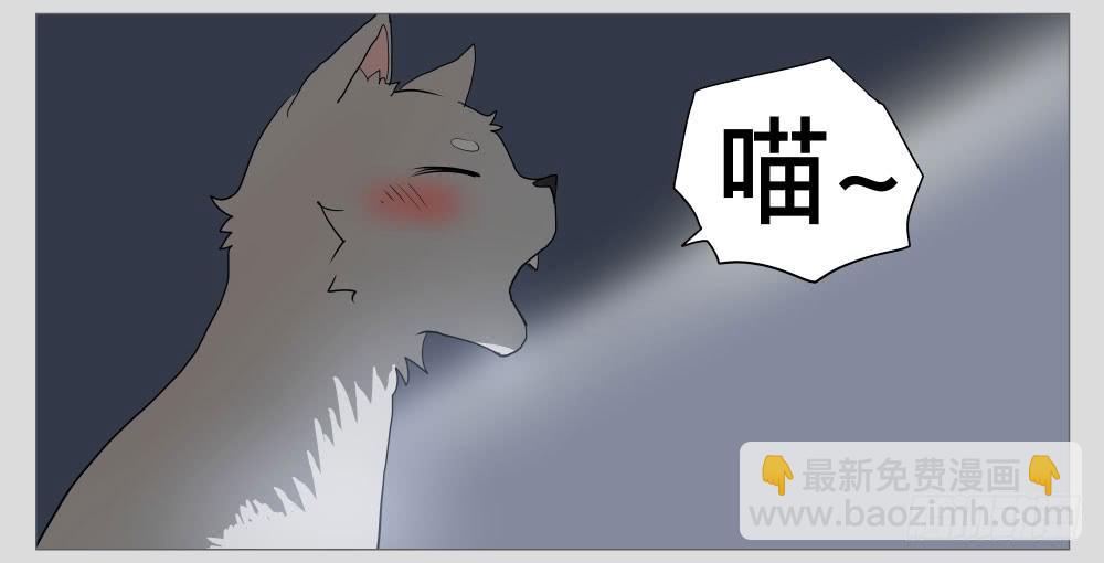 祈灵 - 011猫和他的猫part3 - 2