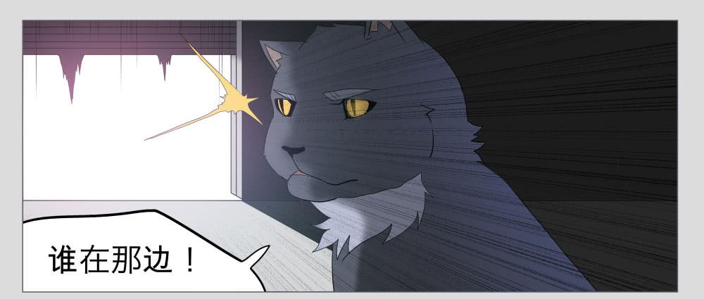 011猫和他的猫part3-第11话