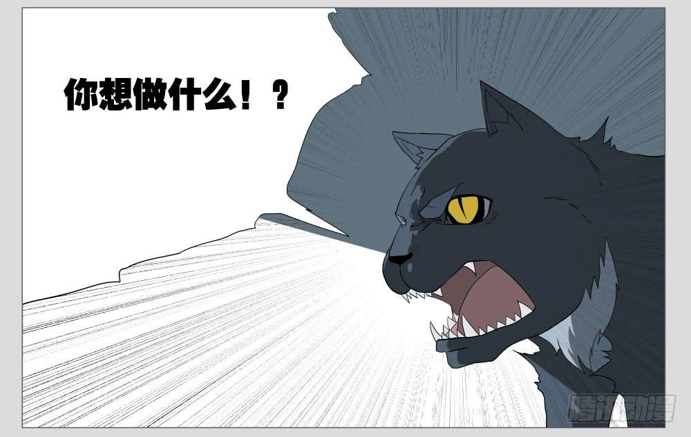 011猫和他的猫part3-第11话