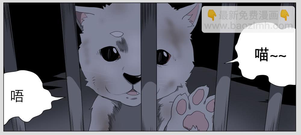 011猫和他的猫part3-第11话
