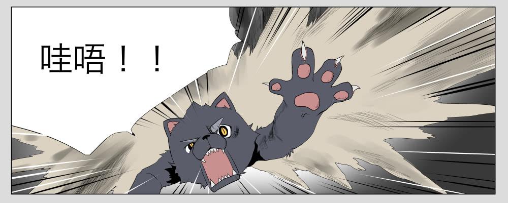 013猫和他的猫part5-第13话