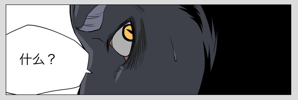 013猫和他的猫part5-第13话