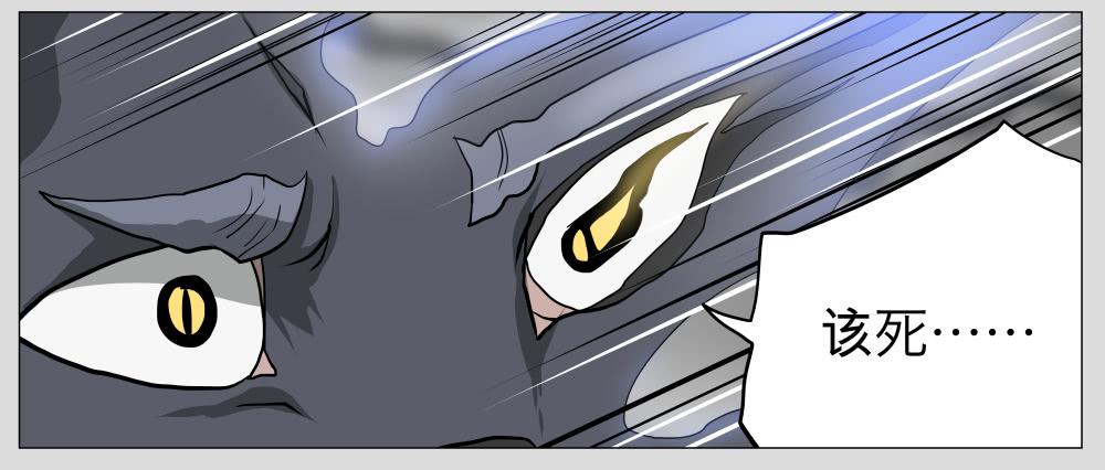 013猫和他的猫part5-第13话