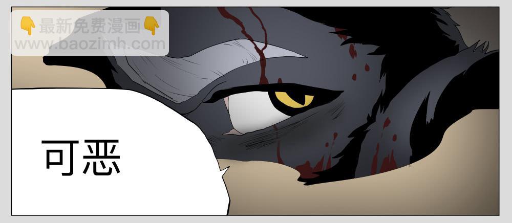 013猫和他的猫part5-第13话