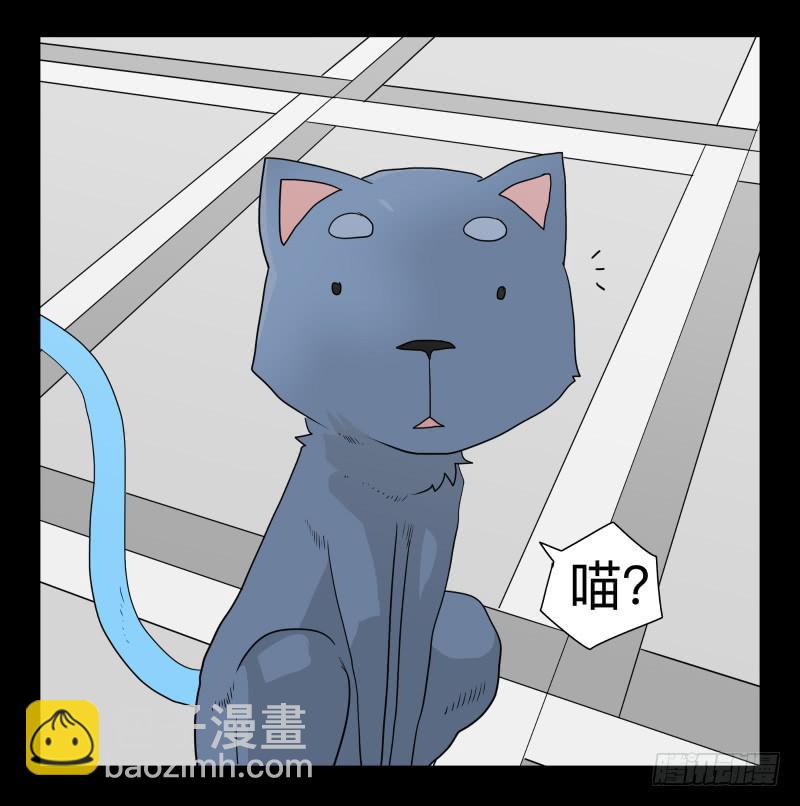 051-猫左犬右part1-第51话