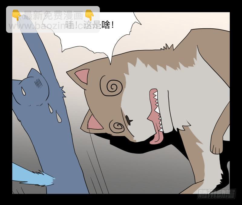 051-猫左犬右part1-第51话