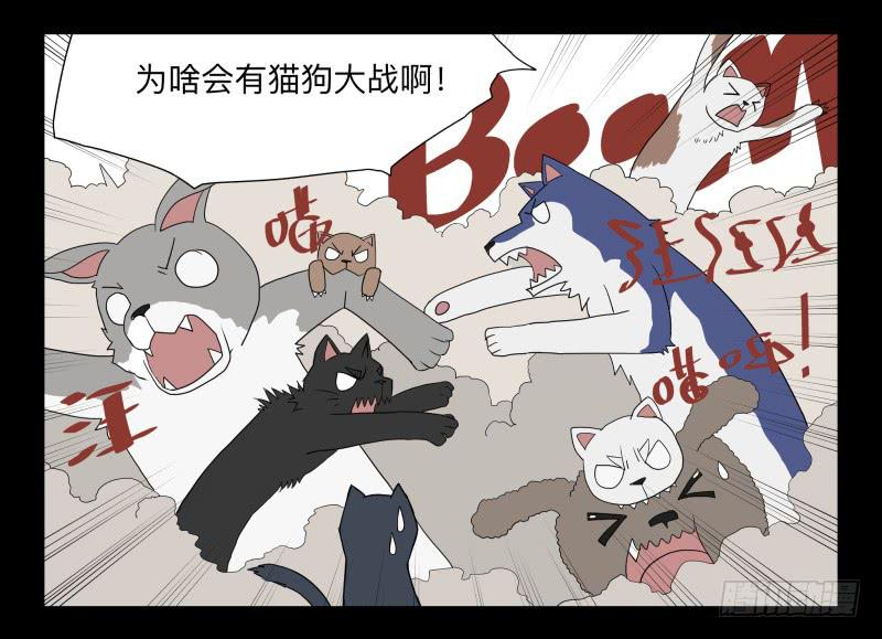 051-猫左犬右part1-第51话