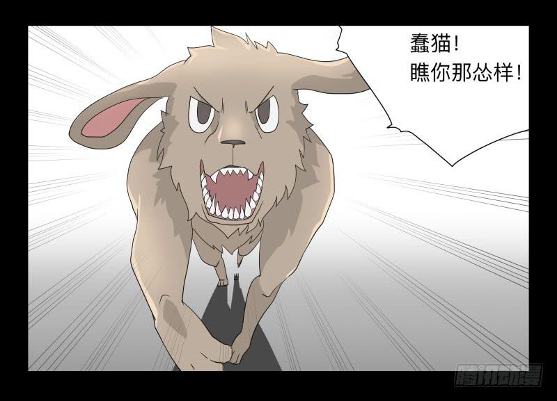 051-猫左犬右part1-第51话