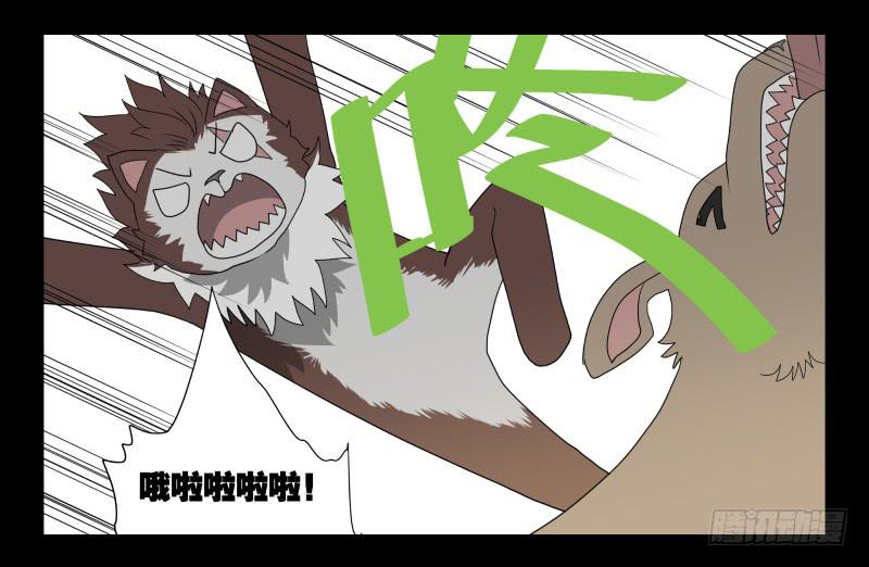 051-猫左犬右part1-第51话