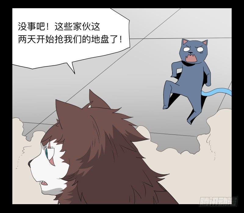 051-猫左犬右part1-第51话