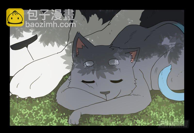 051-猫左犬右part1-第51话